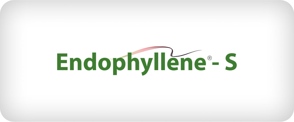 endophyllene-s