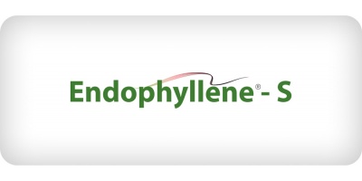 endophyllene-s